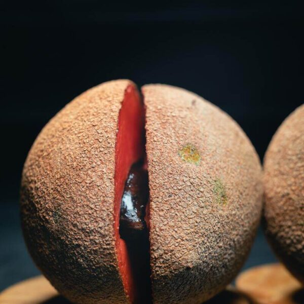 fruit-Tints-and-shades-wood-cone-carmine-metal-1675768-pxhere.com